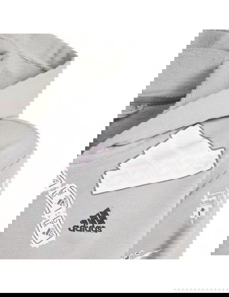 Adidas Biuv Zip Hoodie Jr IS3755 sweatshirt