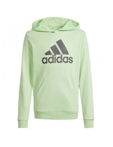 Adidas Big Logo Hoodie Jr IS2591 sweatshirt
