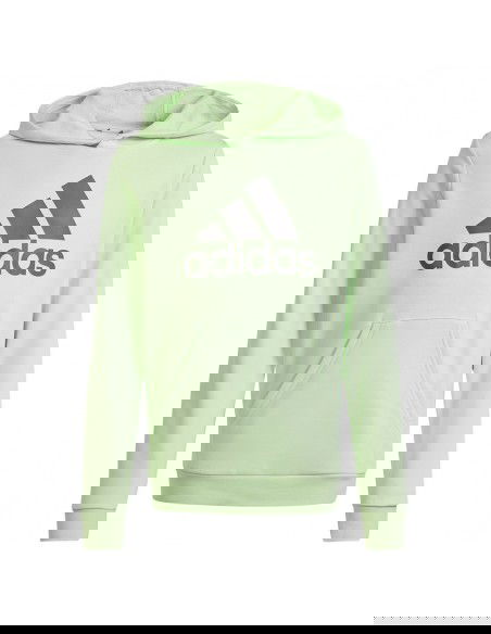 Adidas Big Logo Hoodie Jr IS2591 sweatshirt