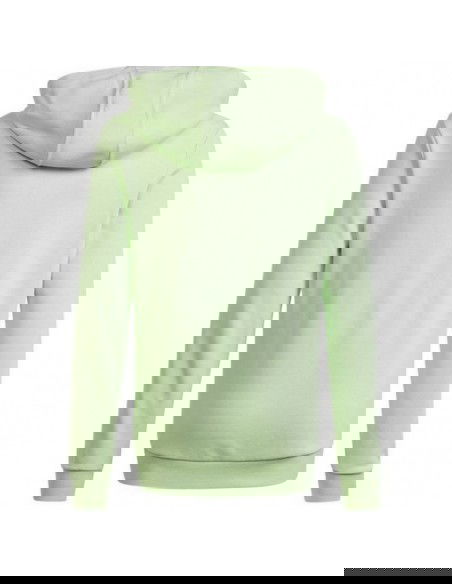 Adidas Big Logo Hoodie Jr IS2591 sweatshirt