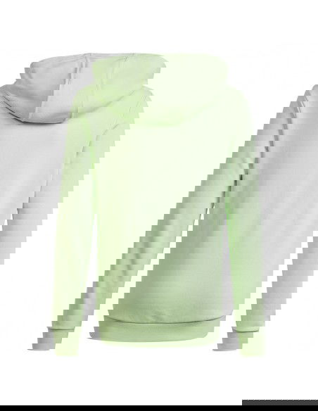 Adidas Big Logo Hoodie Jr IS2591 sweatshirt