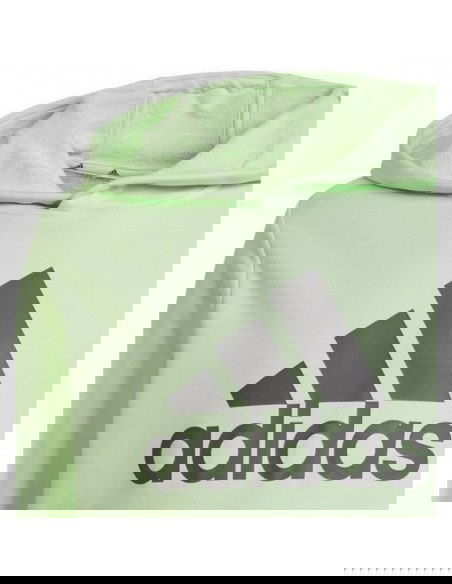 Adidas Big Logo Hoodie Jr IS2591 sweatshirt