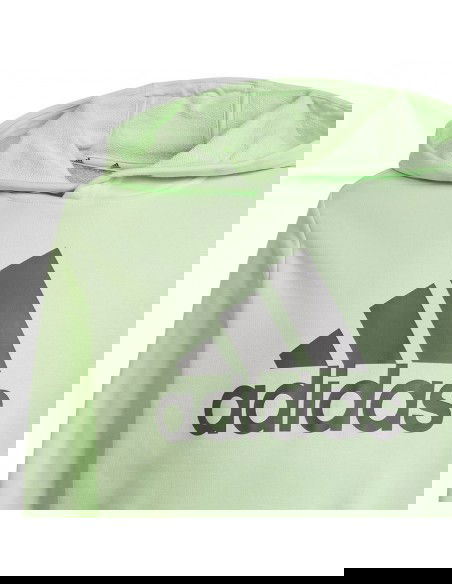 Adidas Big Logo Hoodie Jr IS2591 sweatshirt