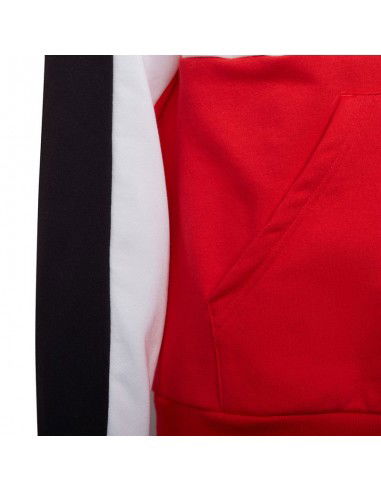 Adidas Colorblock Fleece Hoodie Jr HC5657 sweatshirt