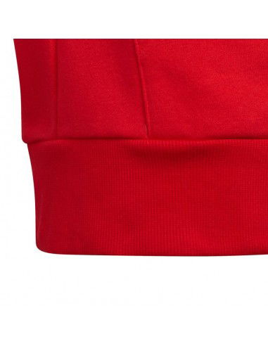 Adidas Colorblock Fleece Hoodie Jr HC5657 sweatshirt