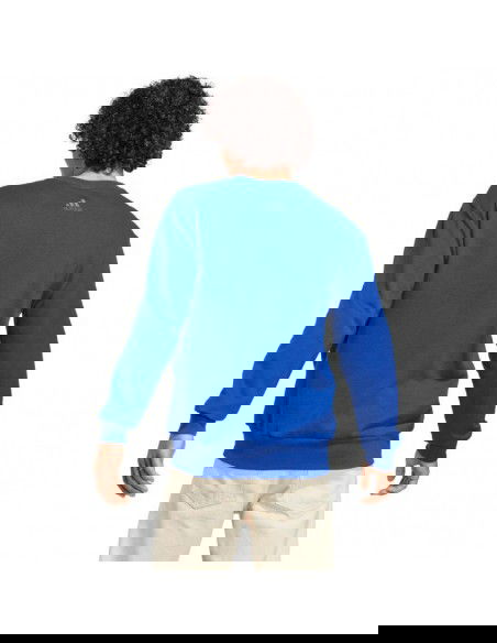 adidas Essentials French Terry Big Logo M IC9325 sweatshirt