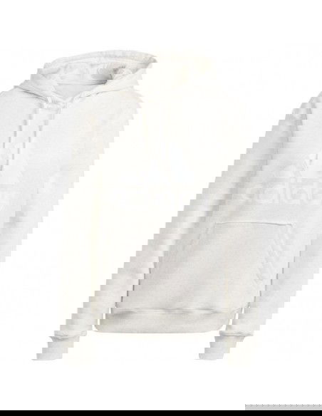 adidas Essentials Big Logo Regular Fleece W IM0252 sweatshirt