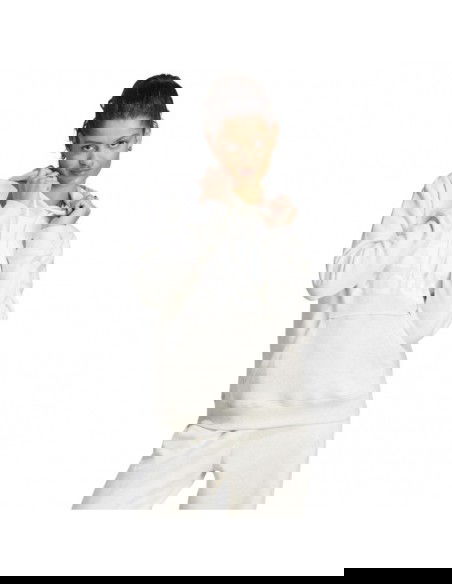 adidas Essentials Big Logo Regular Fleece W IM0252 sweatshirt