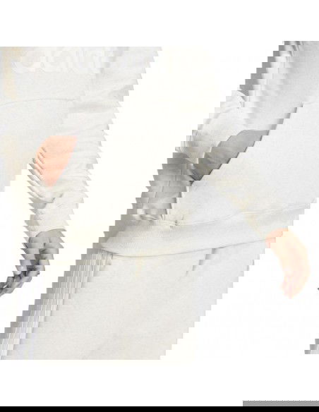 adidas Essentials Big Logo Regular Fleece W IM0252 sweatshirt