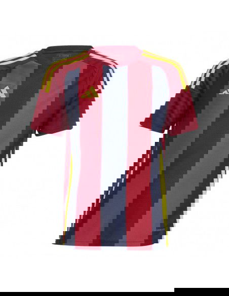 Adidas Striped 24 Jr Tshirt IW2139