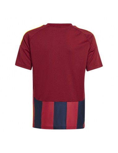 Adidas Striped 24 Jr Tshirt IW2139