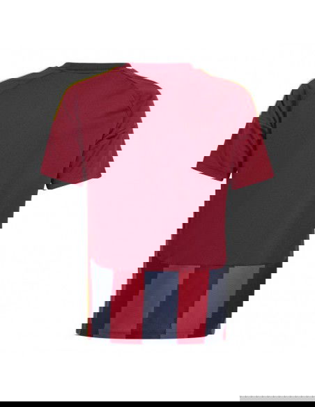 Adidas Striped 24 Jr Tshirt IW2139