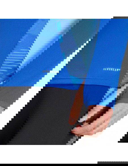 Adidas Tiro 24 Competition Training M IS1641 sweatshirt