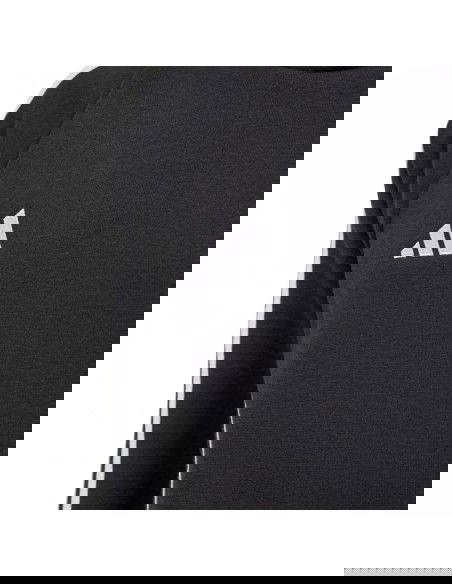 Adidas Tiro 24 Hooded Sweat Jr IJ5611 sweatshirt