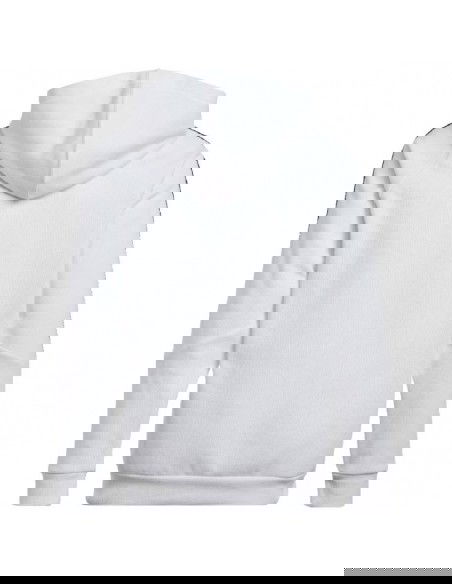 Adidas Tiro 24 Hooded Sweat Jr IR7506 sweatshirt