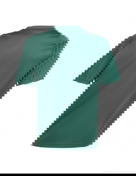 Adidas Tiro 24 Jr IS1028 Tshirt