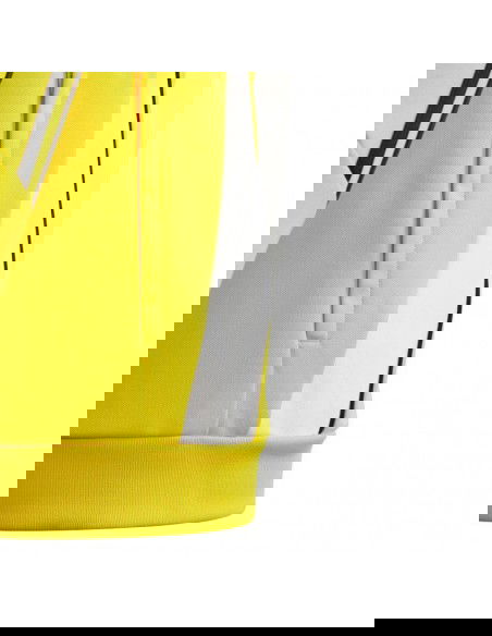 Adidas Tiro 24 Training Jr IR9507 sweatshirt