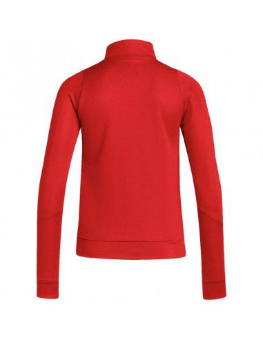 adidas Tiro 24 Training W sweatshirt IR7493