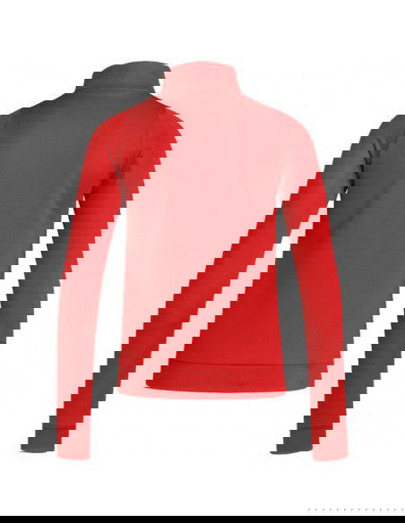 adidas Tiro 24 Training W sweatshirt IR7493