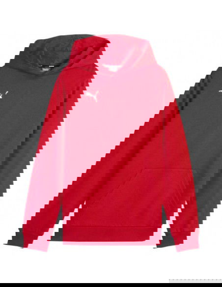 Puma Team Goal Casuals Hoddy Jr sweatshirt 658619 01