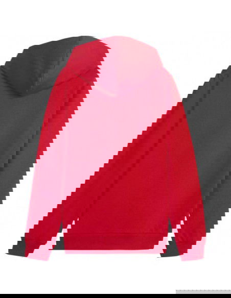 Puma Team Goal Casuals Hoddy Jr sweatshirt 658619 01