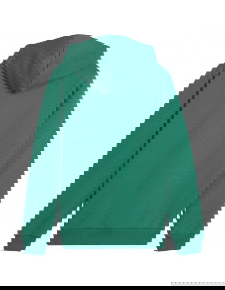 Puma Team Goal Casuals Hoddy Jr sweatshirt 658619 05