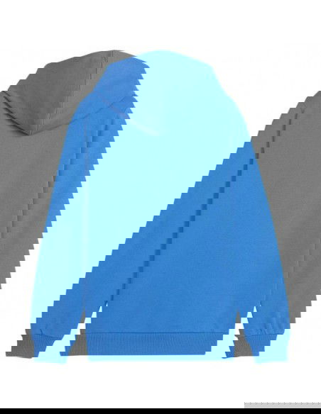 Puma Team Goal Casuals Hoddy Jr sweatshirt 658619 02