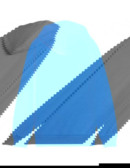 Puma Team Goal Casuals Hoddy Jr sweatshirt 658619 02