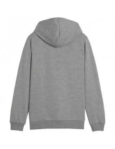 Puma Team Goal Casuals Hoddy Jr sweatshirt 658619 33