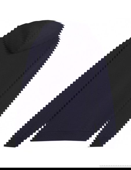 Puma Team Goal Casuals Hoddy Jr sweatshirt 658619 06