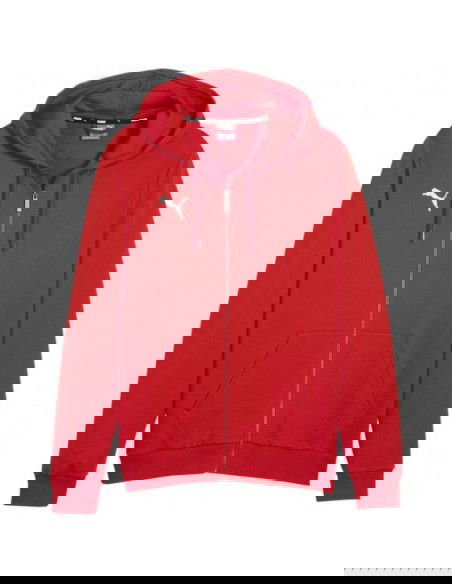 Puma Team Goal Casuals Hooded M 658595 01 sweatshirt