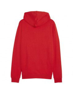 Puma Team Goal Casuals Hooded M 658595 01 sweatshirt 2