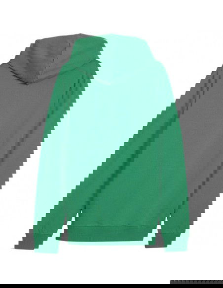 Puma Team Goal Casuals Hooded M 658595 05 sweatshirt