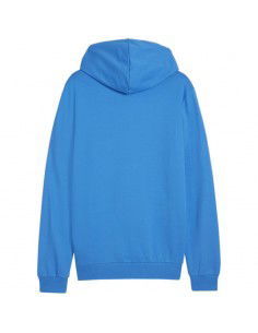 Puma Team Goal Casuals Hooded M 658595 02 sweatshirt 2