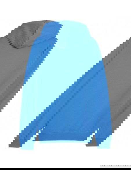 Puma Team Goal Casuals Hooded M 658595 02 sweatshirt