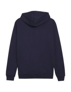 Puma Team Goal Casuals Hooded M 658595 06 sweatshirt 2