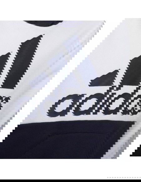 Adidas Colorblock Fleece Jr HC5659 sweatshirt