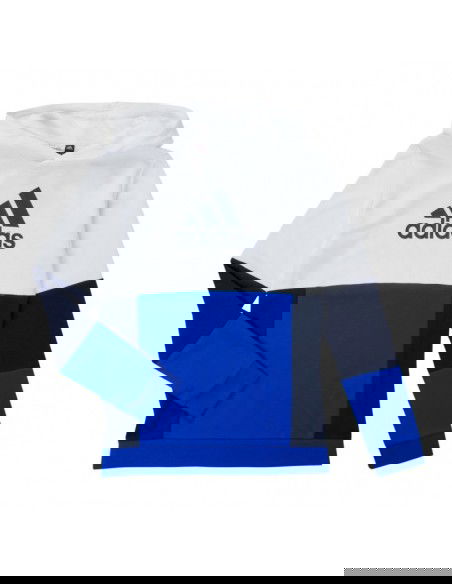 Adidas Colourblock Hoodie Jr HG6826 sweatshirt