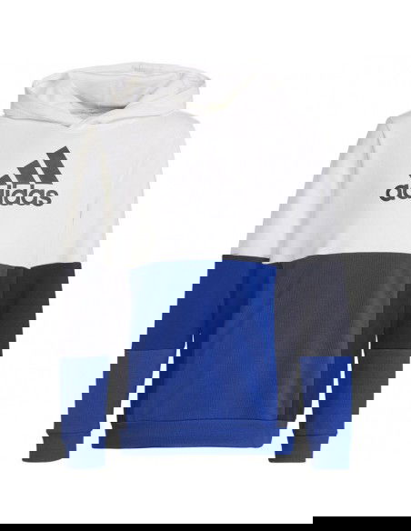 Adidas Colourblock Hoodie Jr HG6826 sweatshirt