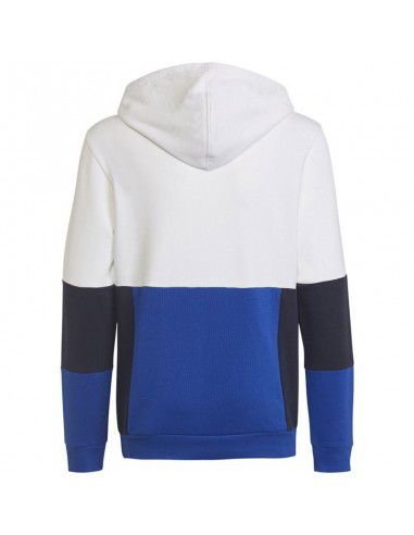 Adidas Colourblock Hoodie Jr HG6826 sweatshirt