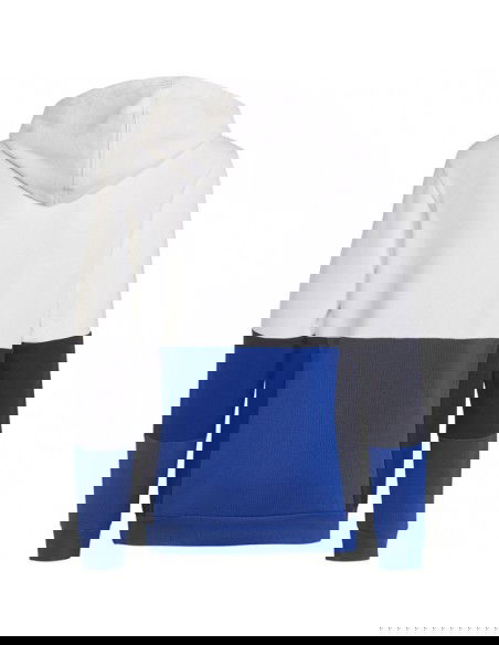 Adidas Colourblock Hoodie Jr HG6826 sweatshirt