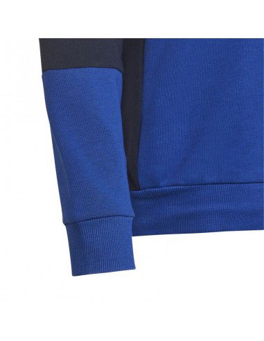 Adidas Colourblock Hoodie Jr HG6826 sweatshirt