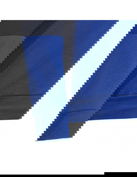 Adidas Colourblock Hoodie Jr HG6826 sweatshirt