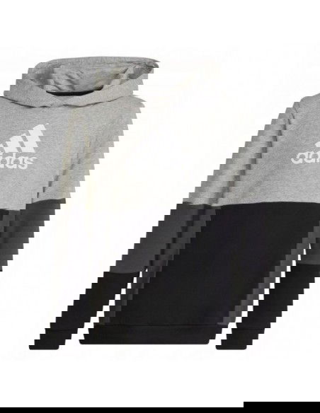 Adidas Colourblock Hoodie Jr HN8563 sweatshirt