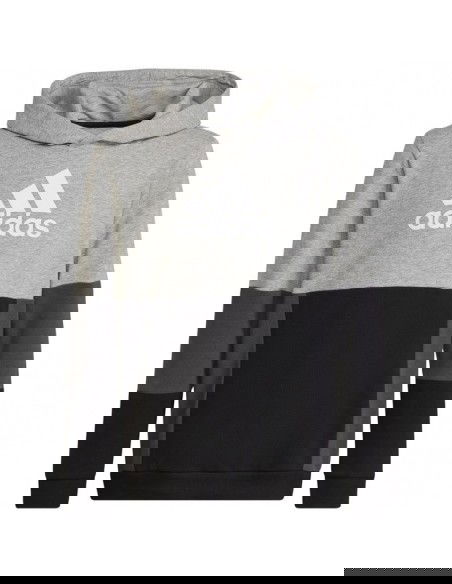 Adidas Colourblock Hoodie Jr HN8563 sweatshirt