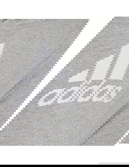 Adidas Colourblock Hoodie Jr HN8563 sweatshirt