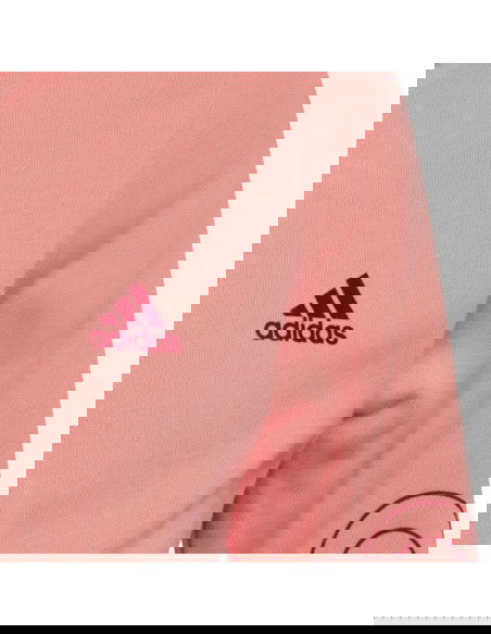 Adidas Jr HE1968 sweatshirt