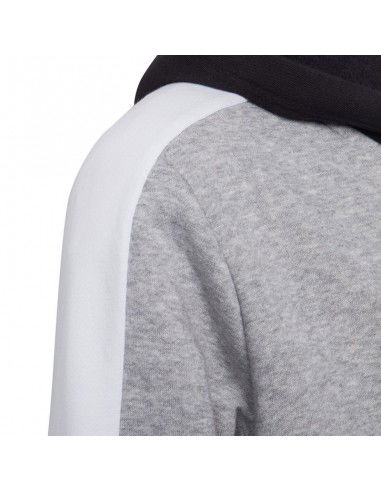 Adidas U CB FL Hoodie Jr HC5658 sweatshirt