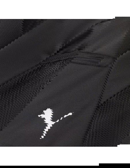 Puma Team Goal bag 90233 01
