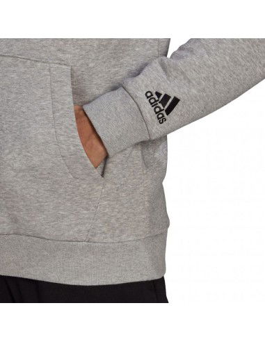 Men's adidas Essentials Hoodie grey GK9071